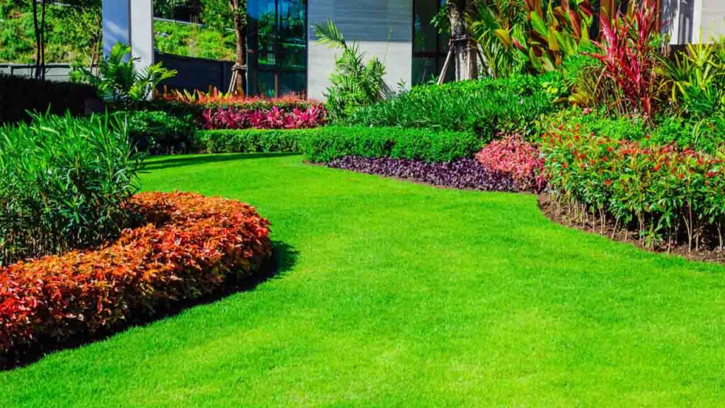 Fertilize Grass