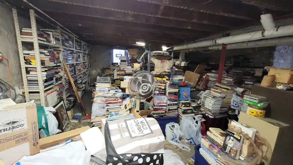 Neglecting Regular Cleaning